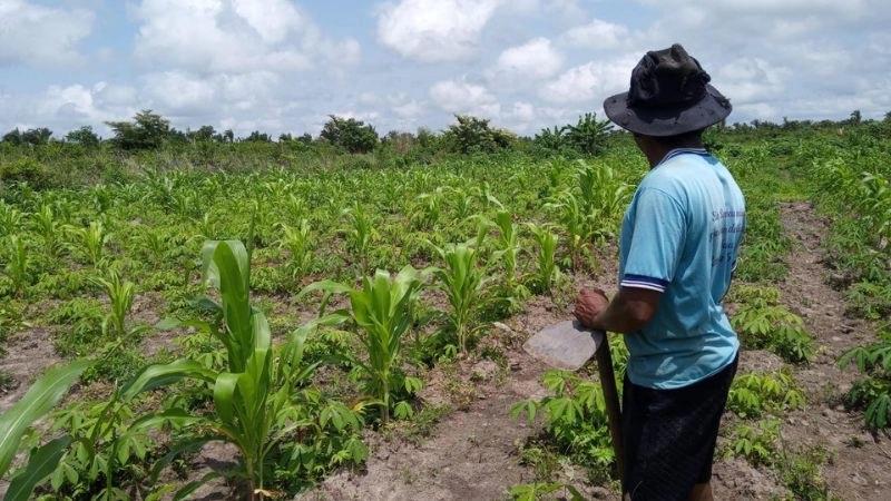 Mais da metade dos produtores da agricultura familiar no país são negros