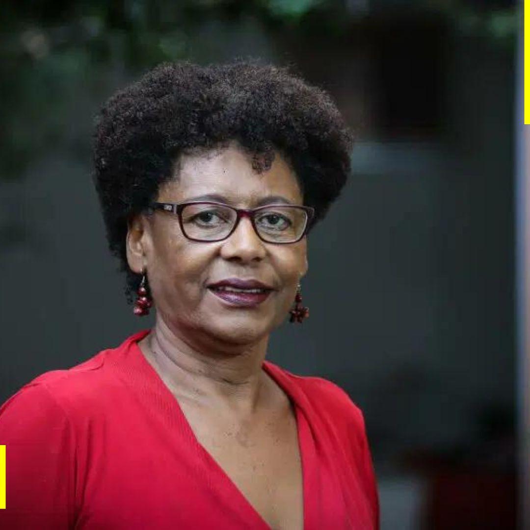 O financiamento da educação básica e a equidade racial