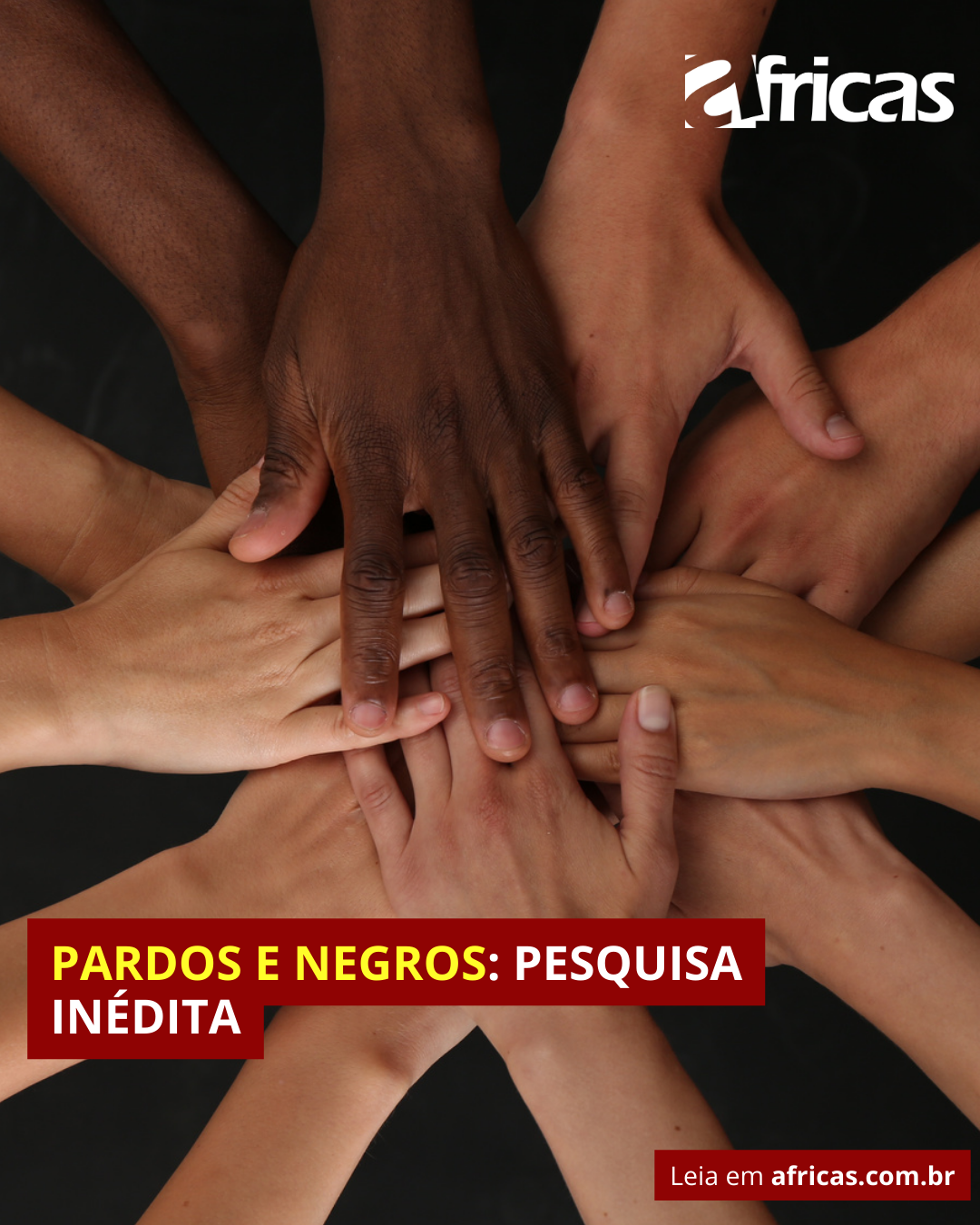 Pardos e negros: pesquisa inédita