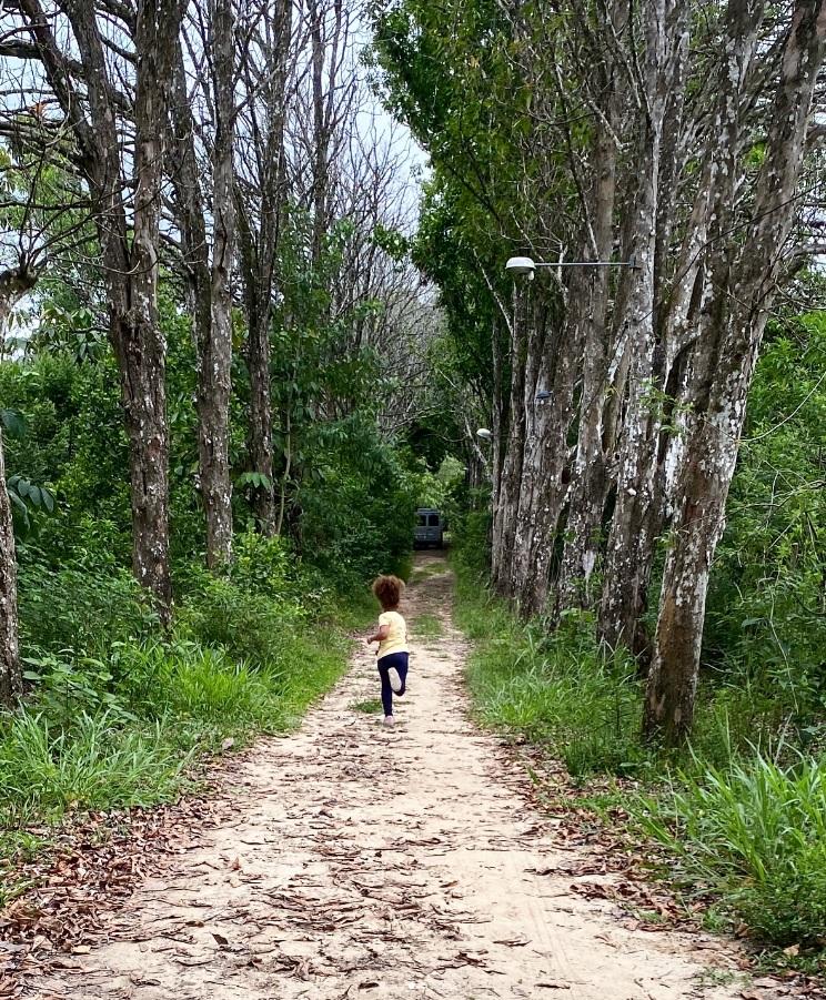Ensaio aberto de Helô em Busca do Baobá Sagrado é programação infantil no Espaço O Poste