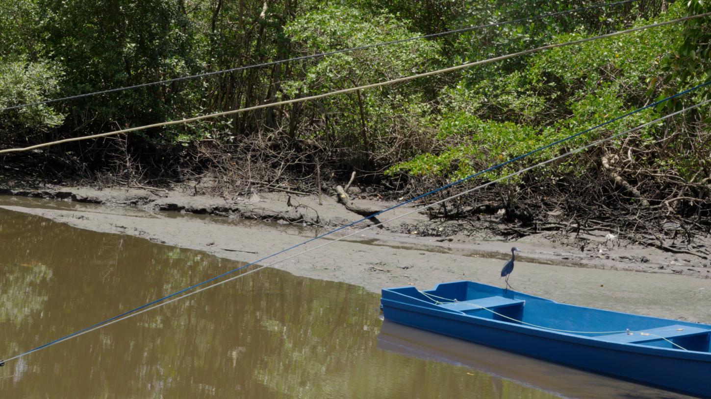 Marisqueiras do maior manguezal urbano do Brasil ganham protagonismo em documentário que celebra saberes ancestrais e sustentabilidade no ES