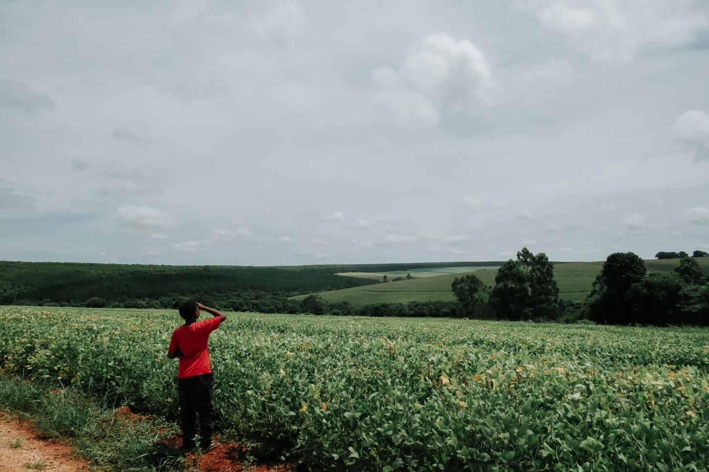 Olhar de crianças do Quilombo do Jaó ganha exposição e oficina na Marquise do Museu Afro Brasil Emanoel Araujo