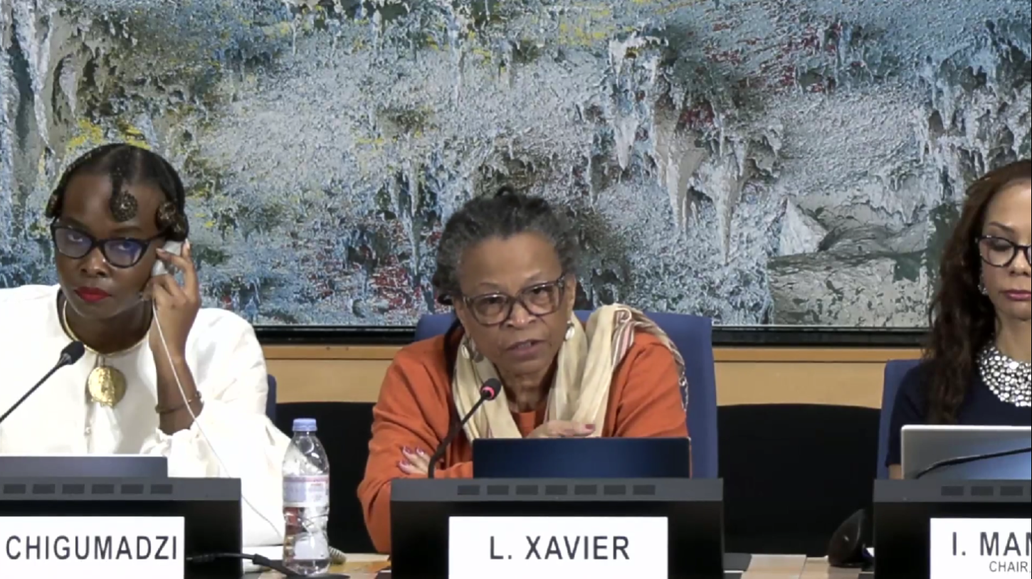 CRIOLA cobra compromissos concretos contra o racismo em Fórum da ONU