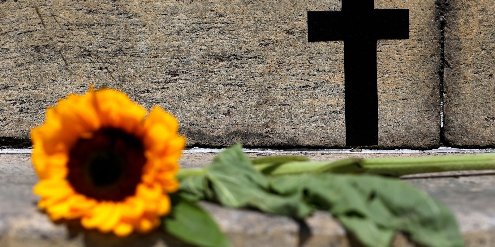 São Paulo registra aumento de 41% nos casos de feminicídio e 31,9% em violações de medida protetiva