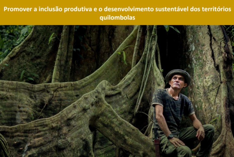 Consulta pública sobre desenvolvimento sustentável dos territórios quilombolas permanece aberta até o dia 28
