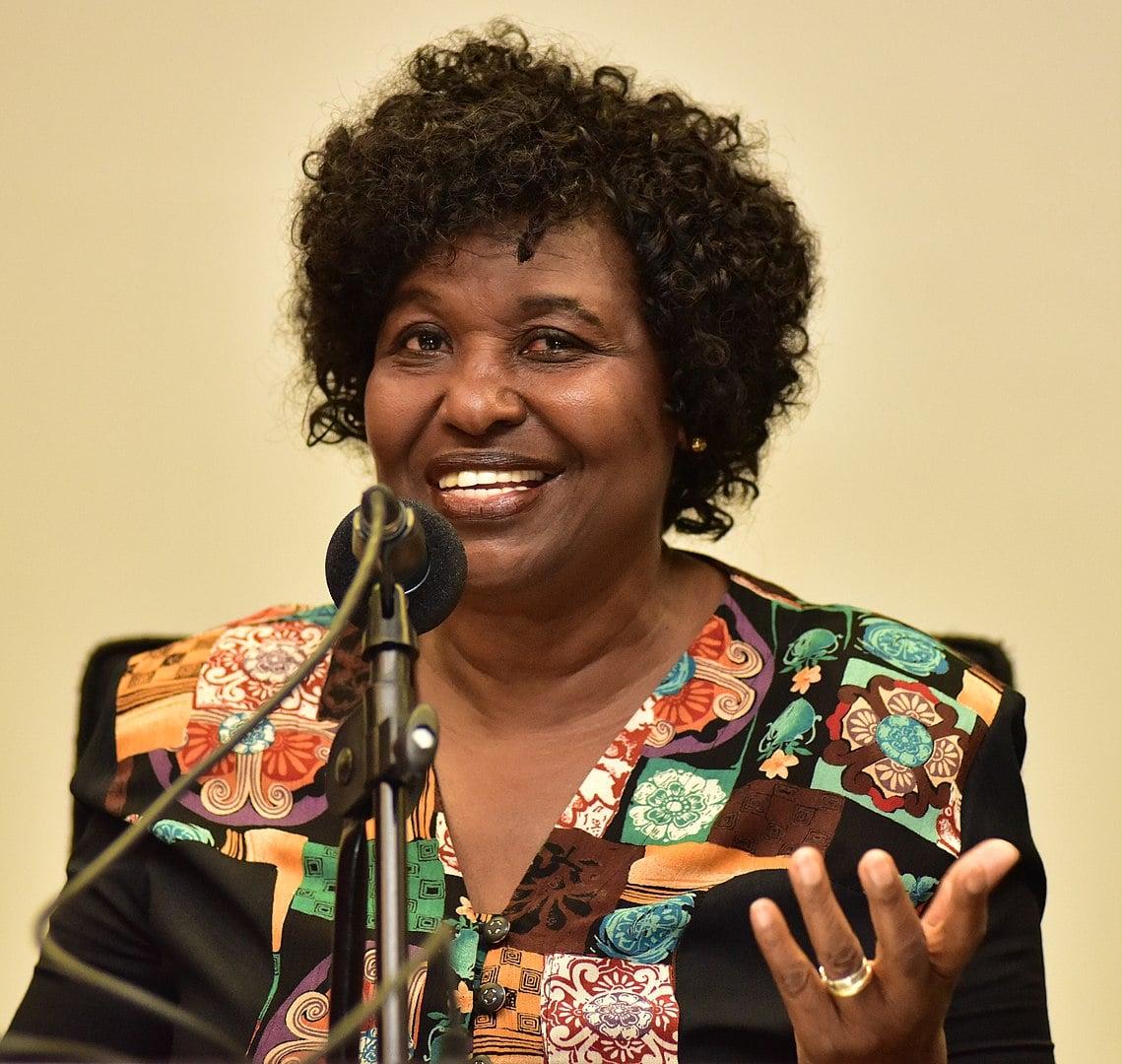 Julho das Pretas: celebração da memória e resistência das mulheres negras no Brasil