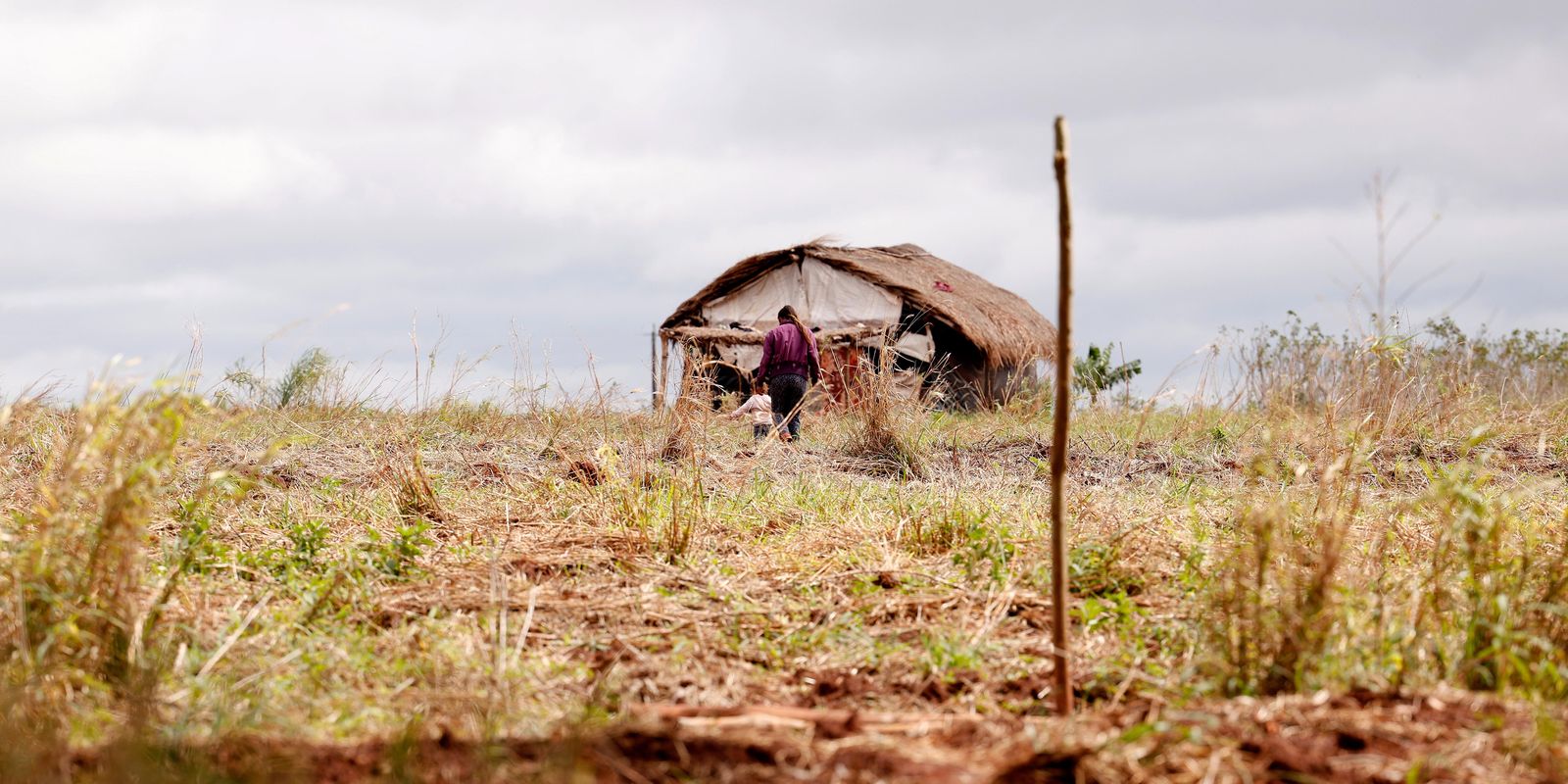 Relatório aponta queda em assassinatos, mas alta em conflitos no campo