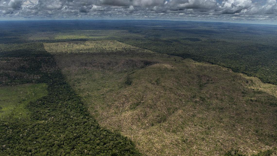 Pesquisadores analisam o avanço do desmatamento em Lábrea com dados de satélite