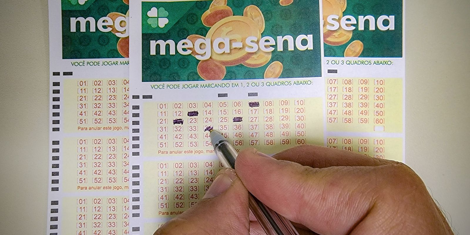 Mega-Sena pode pagar prêmio acumulado de R$ 48 milhões neste domingo