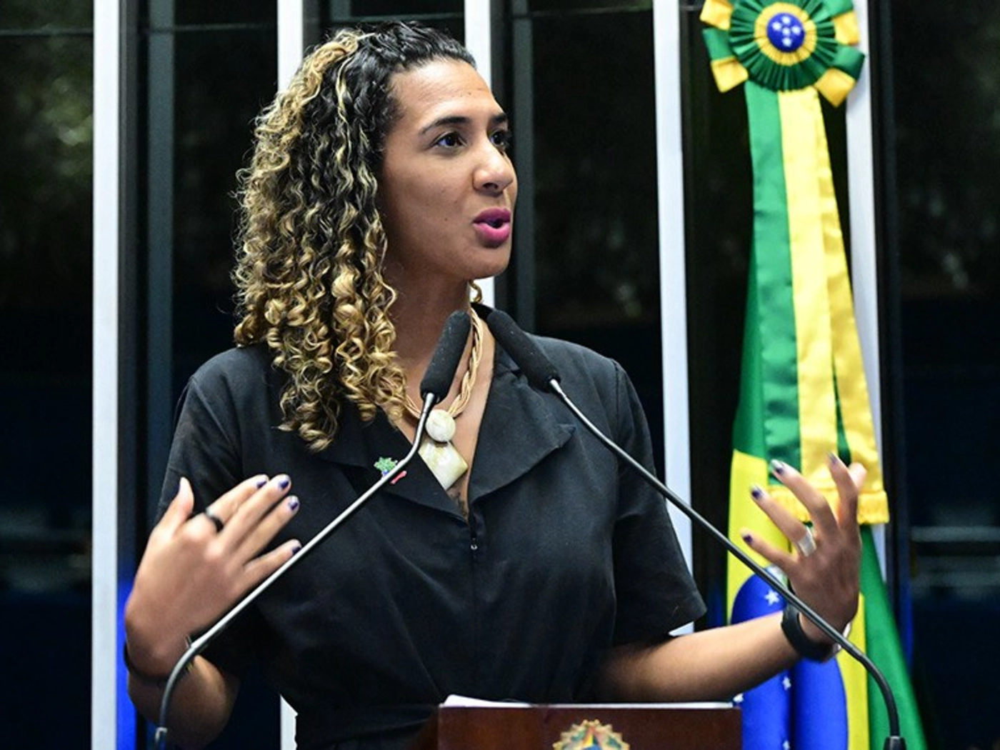 Anielle Franco é eleita deputada federal pelo Rio de Janeiro