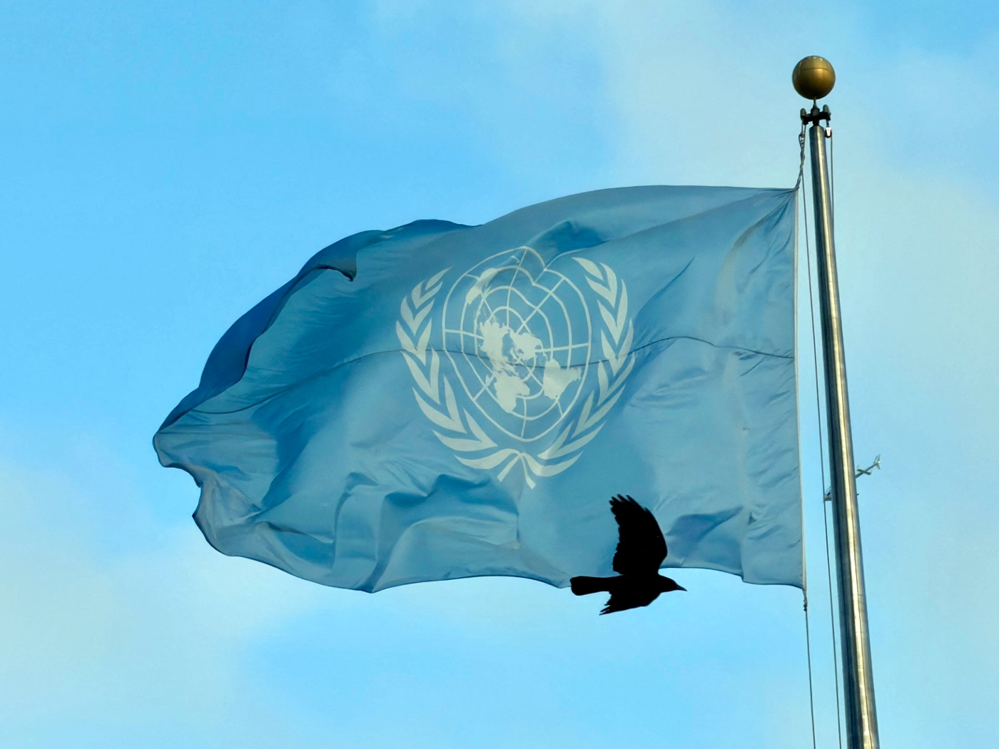 Brasil é reeleito para o Conselho de Direitos Humanos da ONU