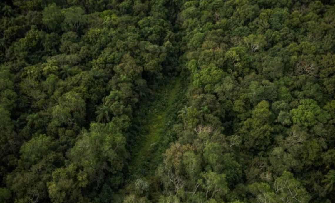 Câmara acumula propostas que ameaçam Unidades de Conservação em quatro anos