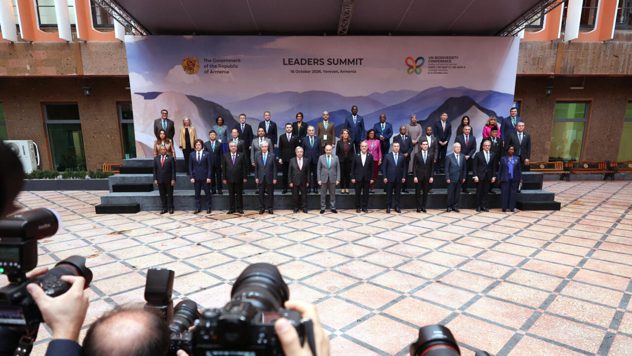 COP17 sobre biodiversidade debate metas globais e enfrenta impasses