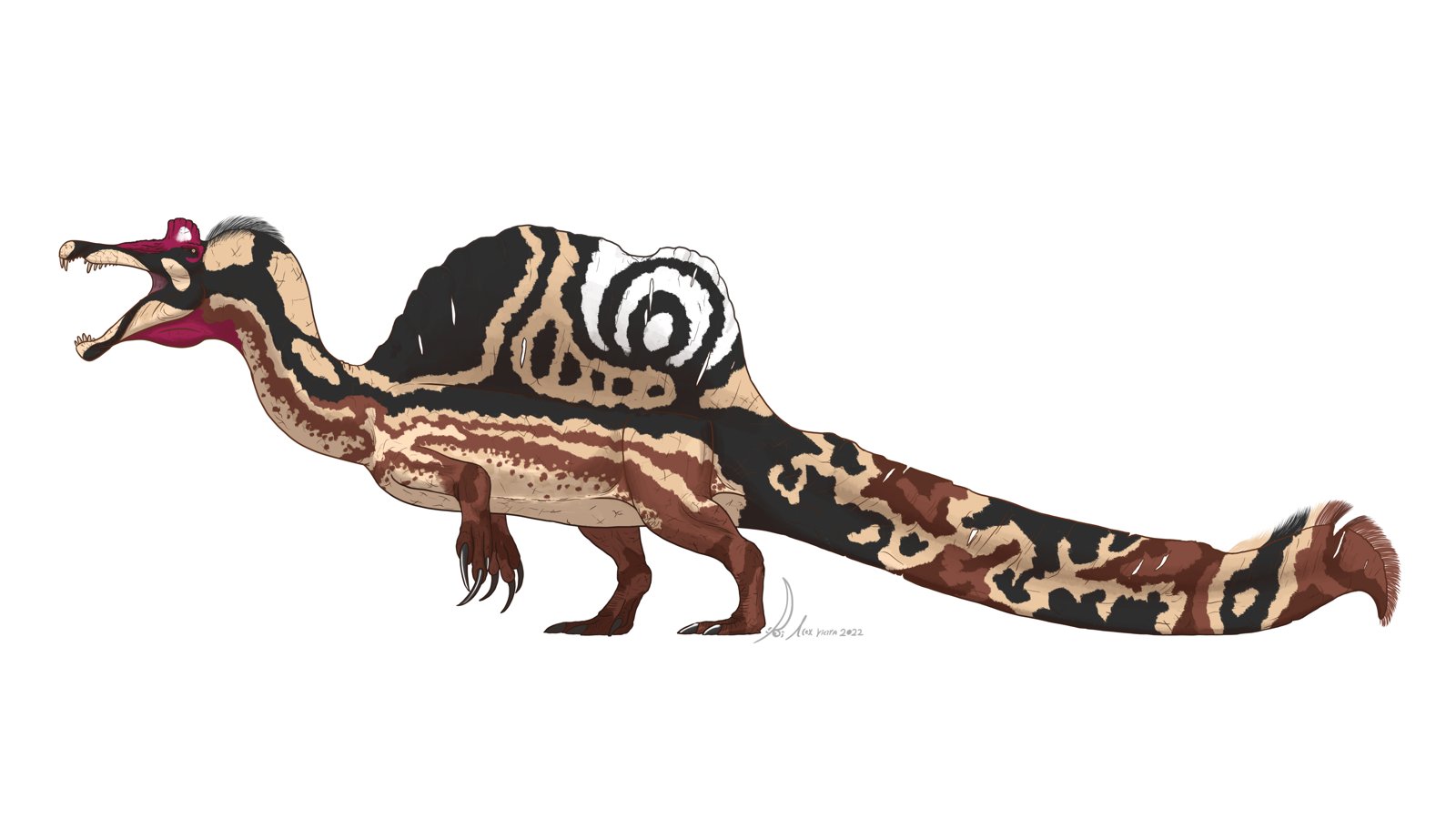 Ilha no Maranhão abriga vestígios do maior dinossauro carnívoro do país