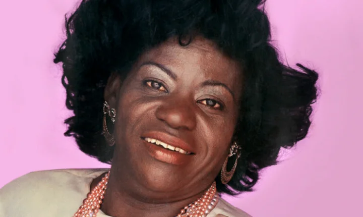 Escola de samba Pérola Negra divulga samba em homenagem a Jovelina Pérola Negra