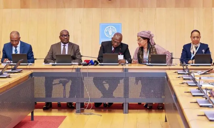 Angola oficializa candidatura de Josefa Sacko à direção-geral da FAO