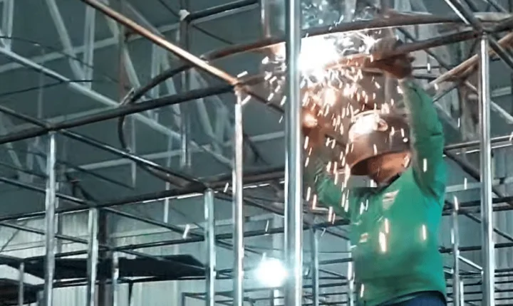 X-9 Paulistana mostra bastidores da preparação para o Carnaval no Anhembi