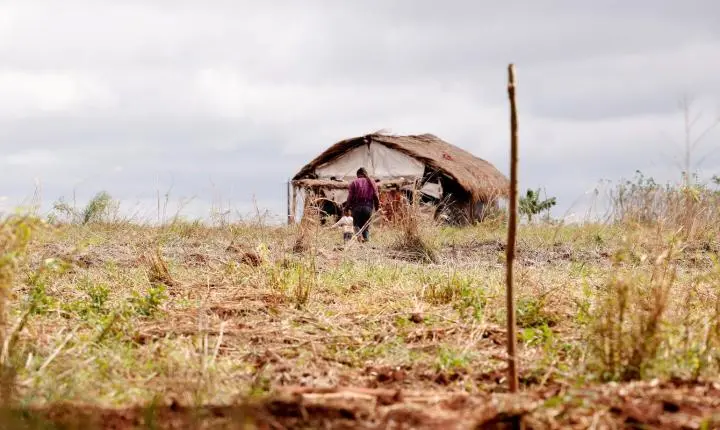 Relatório aponta queda em assassinatos, mas alta em conflitos no campo