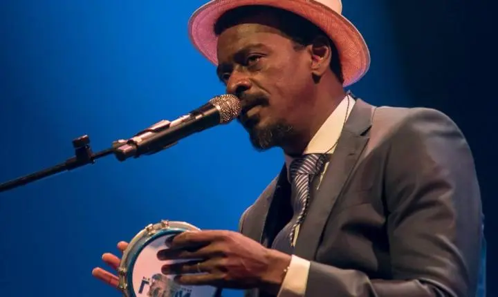 Coala Festival celebra a diversidade da música brasileira em São Paulo