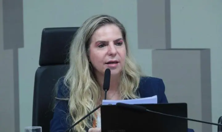 Comissão debate projeto que criminaliza a misoginia e combate a violência contra a mulher