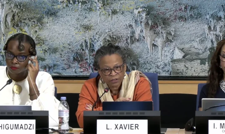 CRIOLA cobra compromissos concretos contra o racismo em Fórum da ONU