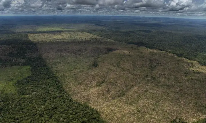 Pesquisadores analisam o avanço do desmatamento em Lábrea com dados de satélite
