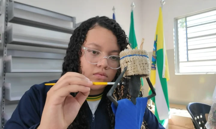 Aluna de escola quilombola supera timidez e projeta futuro na advocacia