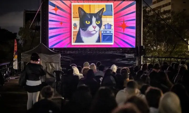Golden Gatofest celebra O Dia Internacional Do Gato Com Evento Gratuito no CCSP