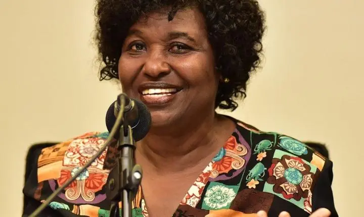Julho das Pretas: celebração da memória e resistência das mulheres negras no Brasil
