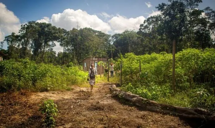 Justiça Federal manda reabrir ação sobre território quilombola no Pará