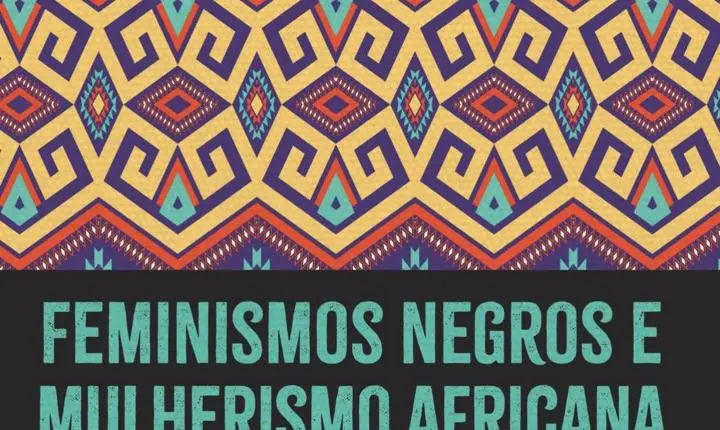 Livro: Feminismos negros e mulherismo africana é o título do 5º volume