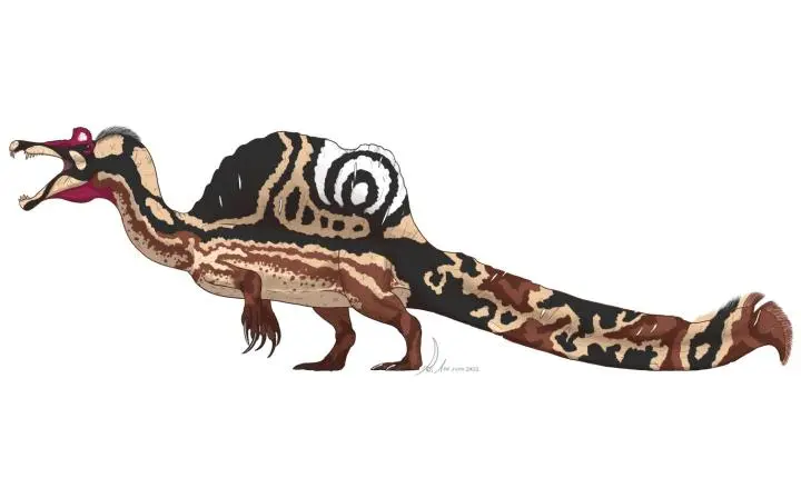 Ilha no Maranhão abriga vestígios do maior dinossauro carnívoro do país