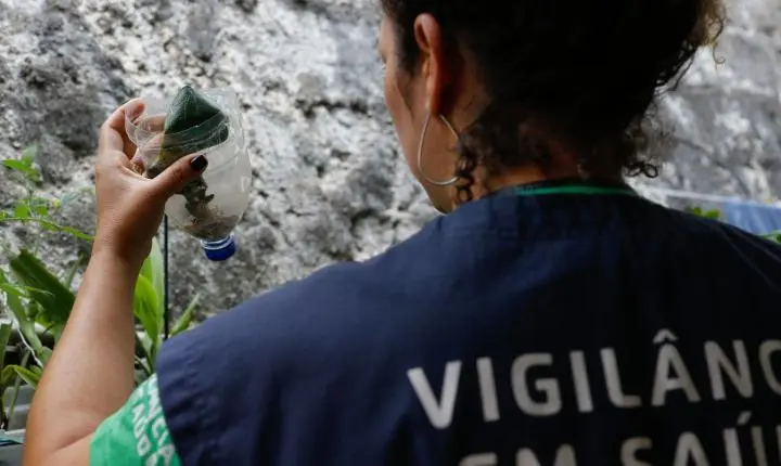 São Paulo registra mais de 58 mil casos de dengue e confirma 42 mortes