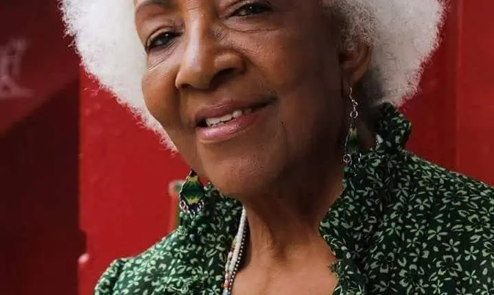 Sirley Amaro: a mestra que usou retalhos para histórias negras
