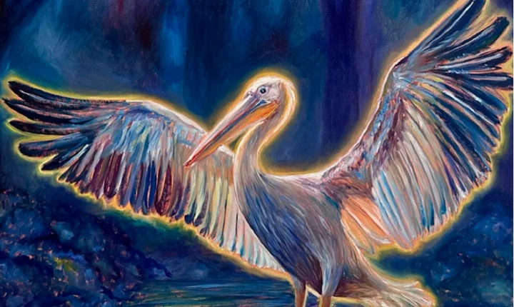 Umbral das Artes, MOLA e Seabra Produção trazem exposição Onde moram os sonhos para o centro do Recife/PE 