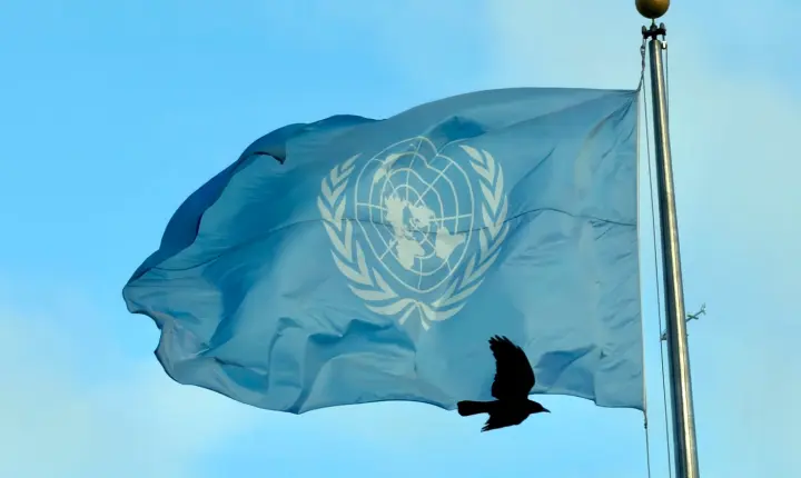 Brasil é reeleito para o Conselho de Direitos Humanos da ONU